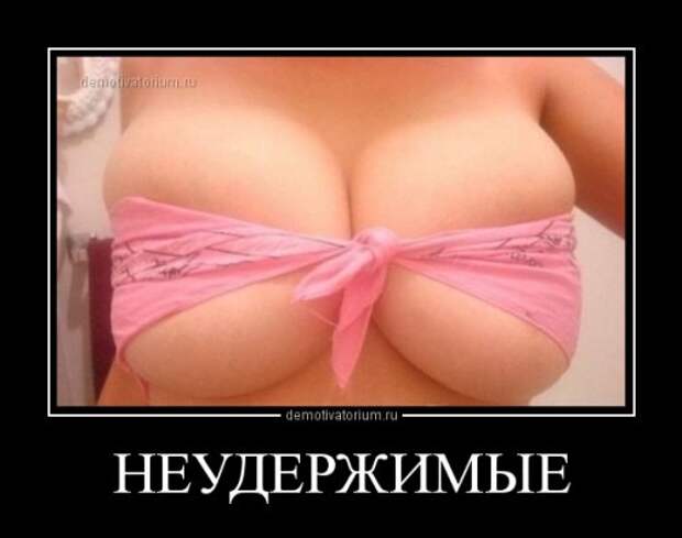 Очередная порция демотиваторов (14 шт)