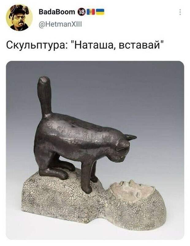 Смешные и познавательные картинки