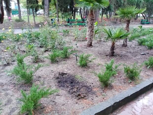 В Алуште неизвестные крадут с центра города зеленые насаждения с клумб
