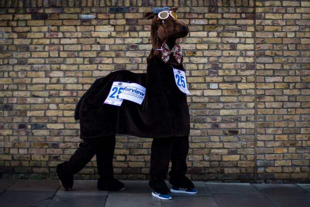 Веселая гонка лошадей London Pantomime Horse Race 2018