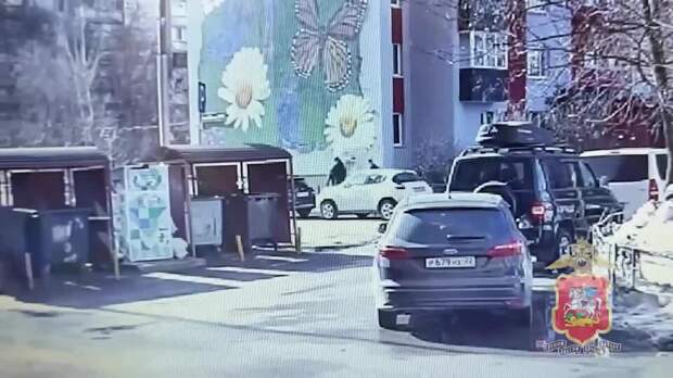 Мошенники похитили у пенсионерки 70 млн рублей в Подмосковье