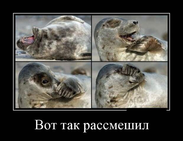 Демотиваторы (30 фото)
