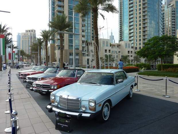 Emirates Classic Carshow 2011 в Дубае (95 фото)