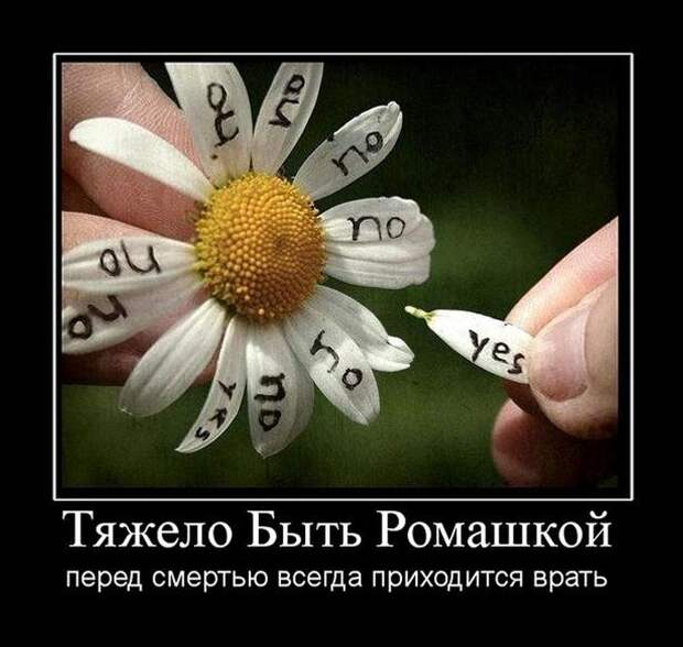 Демотиваторы (30 фото)