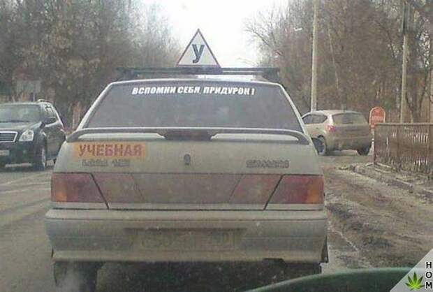 Прикольные картинки и фотографии для хорошего настроения (11 фото) Прикольные картинки и фотографии для хорошего настроения (11 фото)
