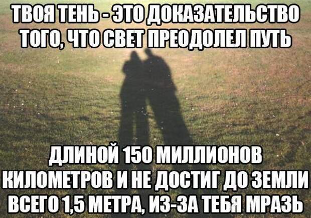 Картинки со смешными подписями