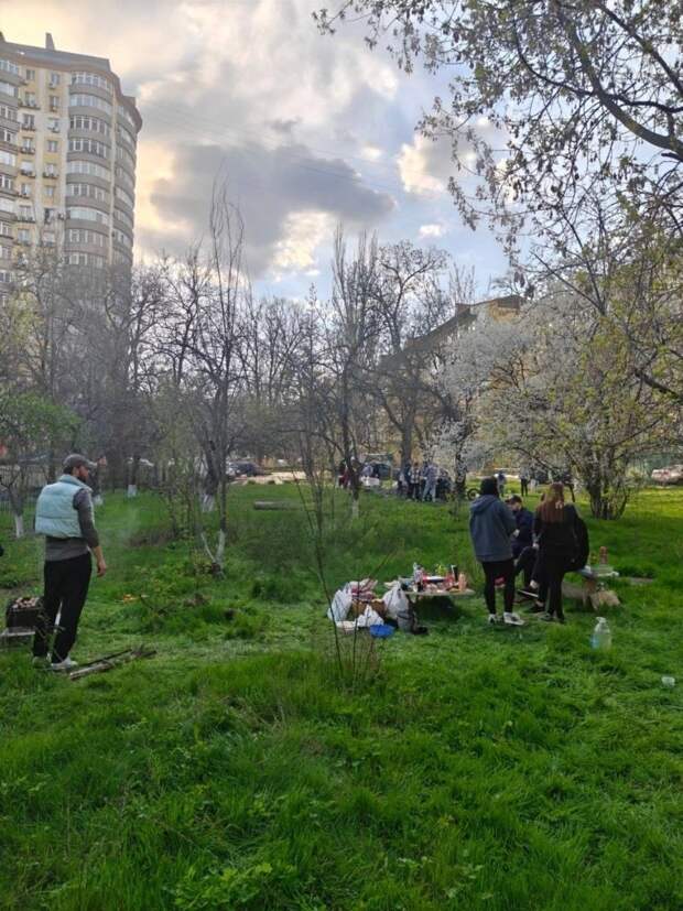 Бульвар Шевченко сейчас https://t.me/webmoney_dn/319771