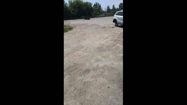 Video: Клип @donetskdnr_vk