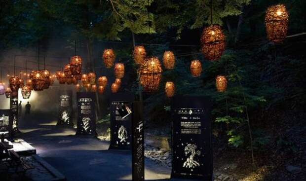 Заколдованный лес Foresta Lumina (11 фото + видео)