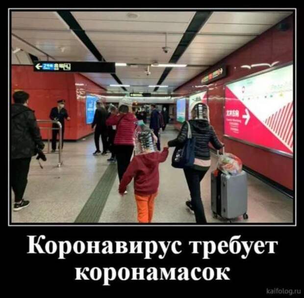 Демотиваторы про коронавирус с надписями. Подборка chert-poberi-dem-koronavirus-chert-poberi-dem-koronavirus-23040416012021-13 картинка chert-poberi-dem-koronavirus-23040416012021-13