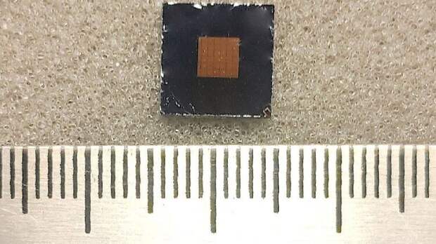 Разработан наноантенный сенсор для ранней диагностики рака в НГУ