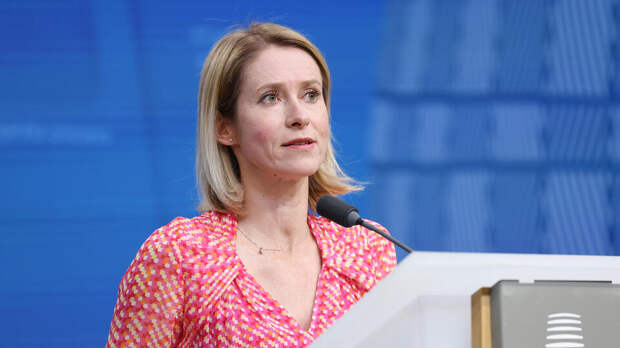 В Финляндии осудили реакцию Каллас на атаку дронов ВСУ на резиденцию Путина