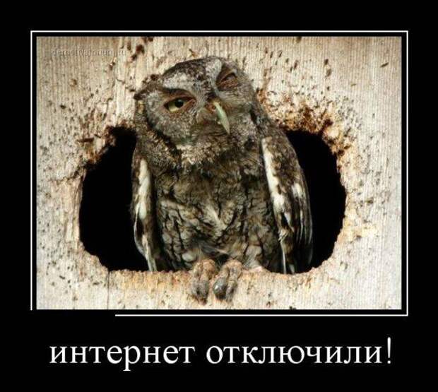 Демотиваторы, часть 46 (30 фото) Демотиваторы, часть 46 (30 фото)