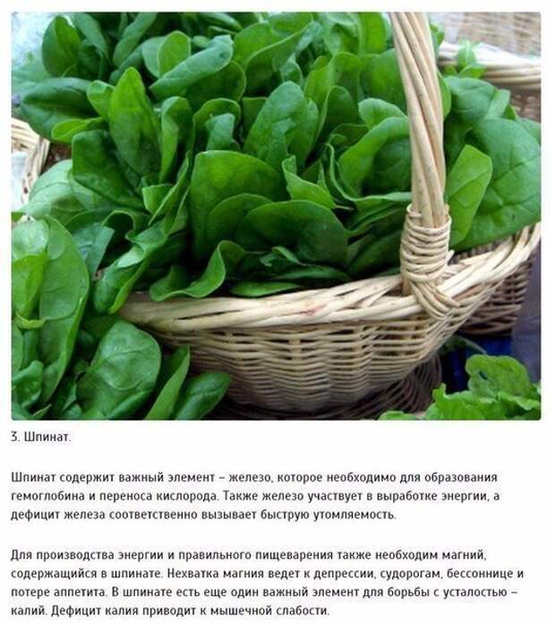 10 продуктов, которые снимут усталость 3