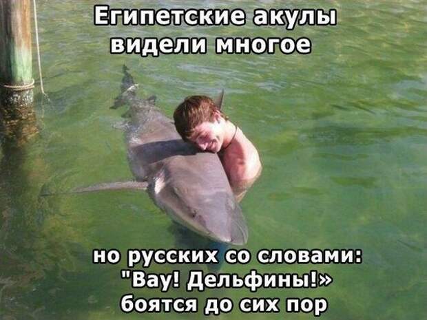 Всяко - разно 11 ))) Всяко - разно 11 )))