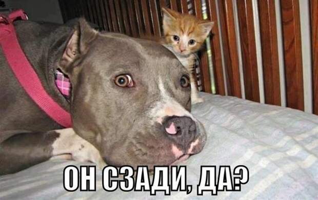 Всяко - разно 11 ))) Всяко - разно 11 )))