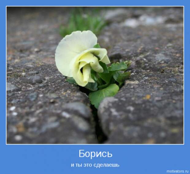 Мотиваторы основные со смыслом.