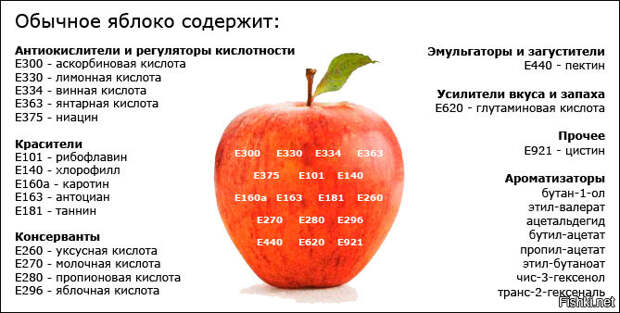 Смешное из интернета прикол, юмор