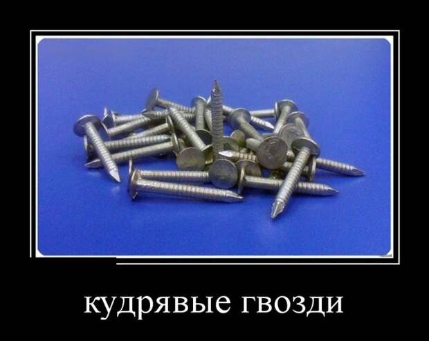 Демотиваторы (30 фото)