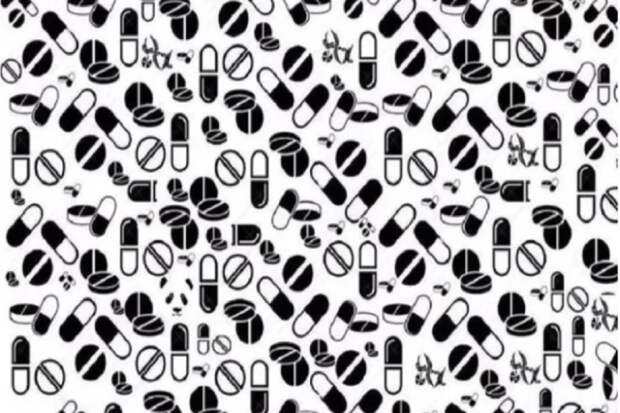 Тест для гениев: где спряталась панда среди черно-белых узоров