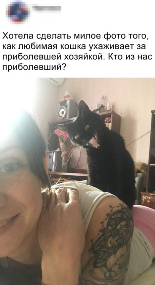Подборка картинок (20 фото)