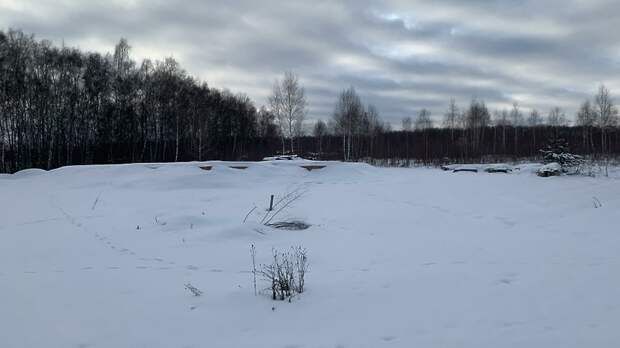 Москва выставила на продажу 48 участков для строительства частных домов