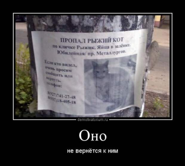 Очередная порция демотиваторов (20 шт)