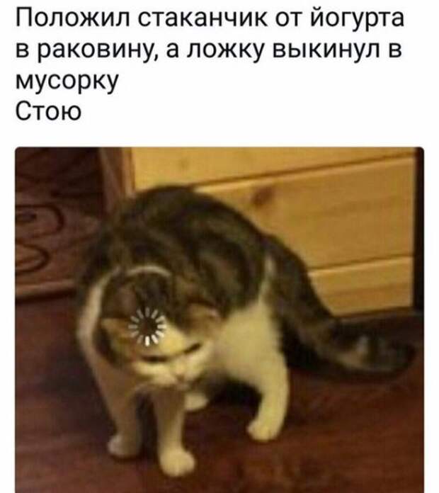 Прикольные фотомемы на Бугаге (32 шт)