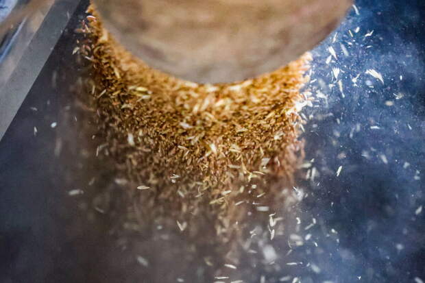 Евросоюз готовит санкции против Израиля за покупку российского зерна