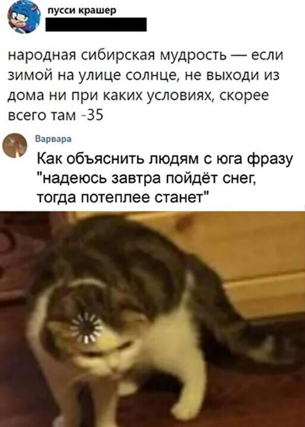 Смешные и познавательные картинки
