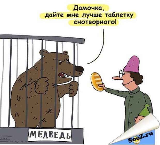 Медведь карикатура. Зоопарк карикатура. Медведей не кормить. Карикатура медведь в зоопарке. Карикатура медведь не тронет.