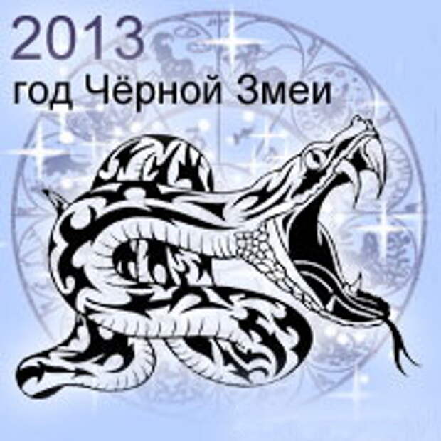 Следующий год змеи. Год змеи. Год змеи 2025. Год черной водяной змеи. Змея знак года.