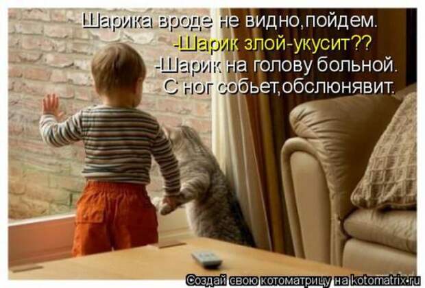 Котоматрицы(картинки с надписями)