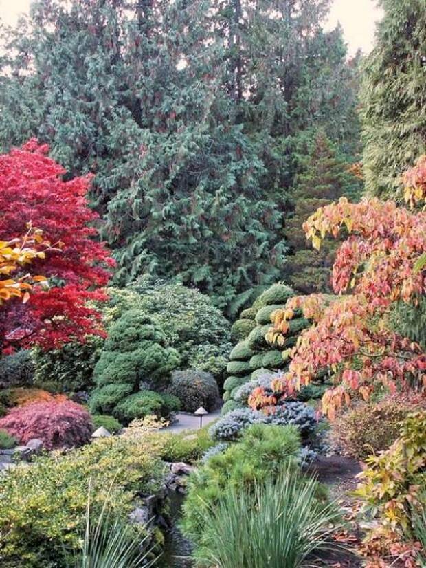 Место чарующее своей красотой и живой природой - The Butchart Gardens. 