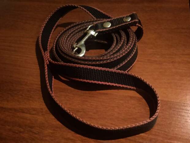 В Хорошево-Мневниках потерялась левретка в костюме