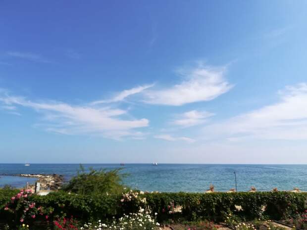 Фото: Е. Попова-Гамаюн