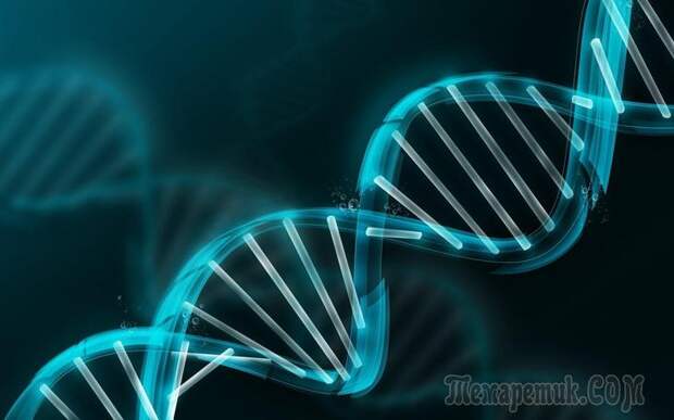 25 фактов о ДНК, которые помогут вам разобраться в себе