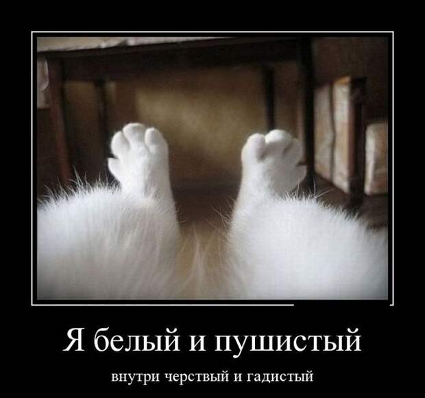 Демотиваторы смех, демотиваторы, прикол, юмор