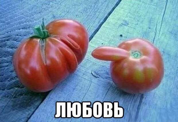 Картинки со смешными подписями