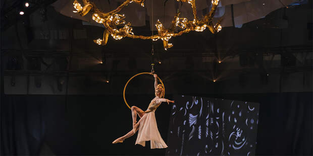 Елизавета Гамбург — о «Снах Пушкина»: как вернуть взрослого зрителя в цирк