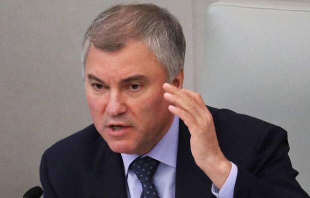 «Не ожидал»: Володин удивился реакции россиян на введение QR-кодов