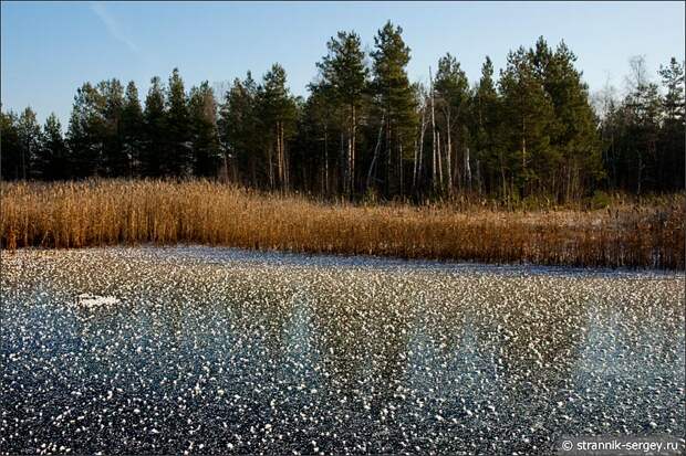 Осень, замерзшее озеро в лесу иней