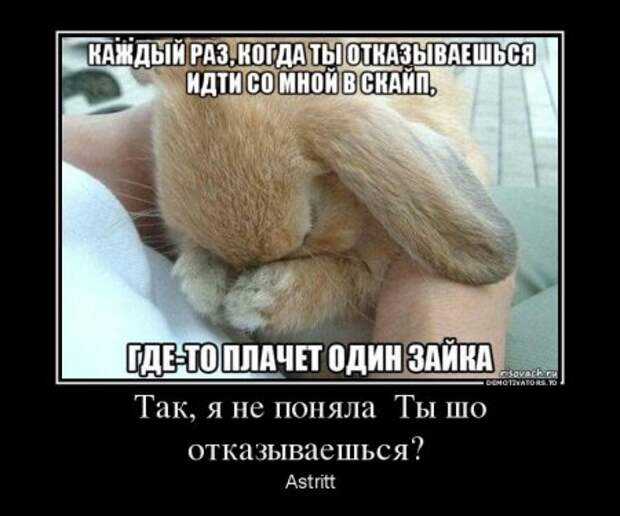 Демотиваторы, наши прикольные цитаты.