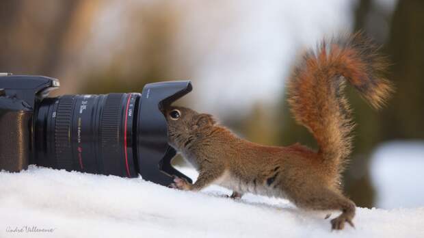 Фотография Selfie автор Andre Villeneuve на 500px