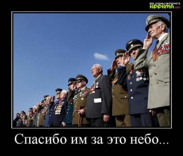 Свеженькие демотиваторы на сегодня