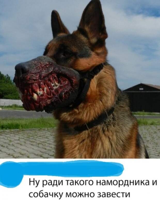 Прикольные картинки абавсём:D