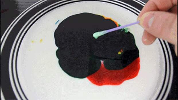 GIF-изображения, от которых вы станете ещё умнее