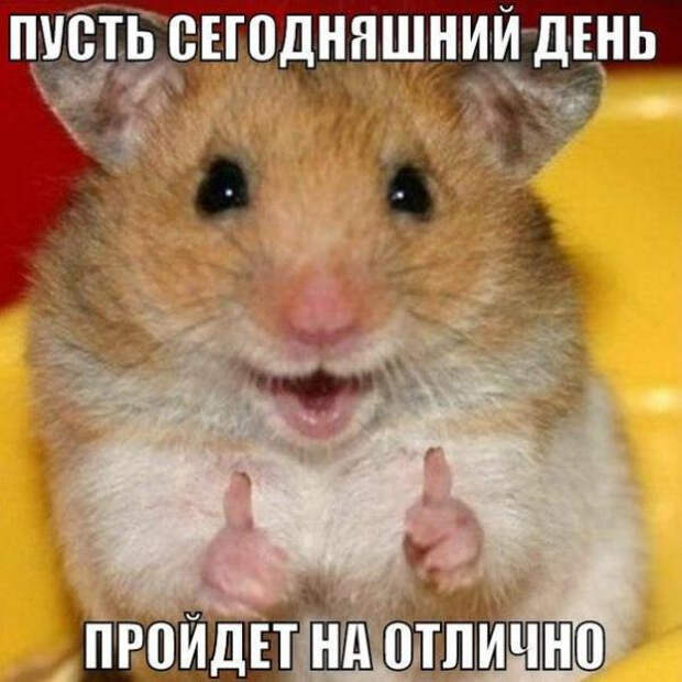smeshnie_kartinki_141363780535 (600x600, 242Kb)