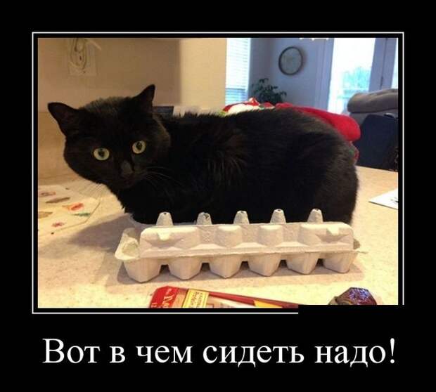Демотиваторы смех, демотиваторы, прикол, юмор
