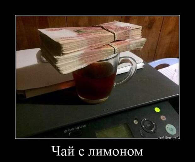 Свежая порция демотиваторов (12 шт)